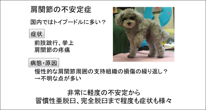 重要度の高い関節疾患を中心に学べます