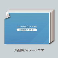 １.エコー描出プローブ位置 「解剖図早見表」（膝・肩）