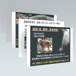 ３. 講義レジュメ