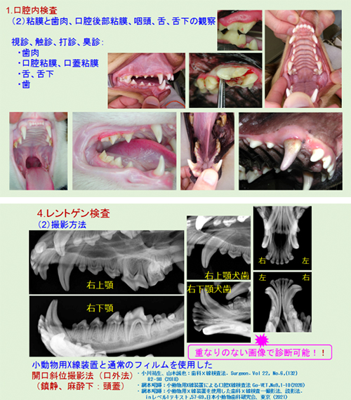 “口腔内疾患は、早期発見で対応がとても簡単になります”