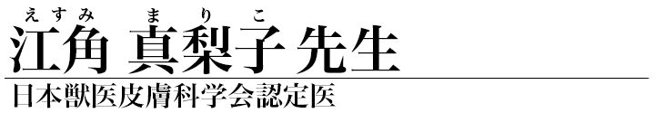 江角真梨子 先生
