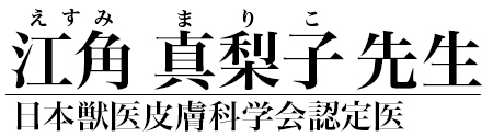 江角真梨子 先生