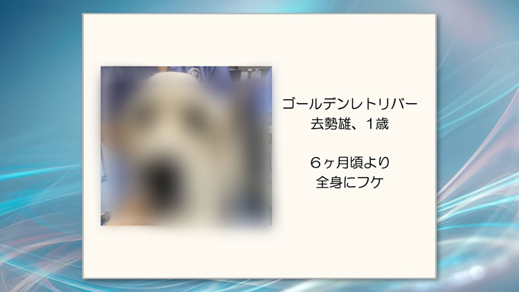 「ここまで考えるのか！」と驚かれる点も多いはずです