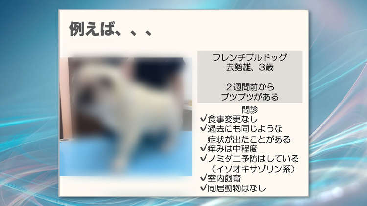 「ここまで考えるのか！」と驚かれる点も多いはずです