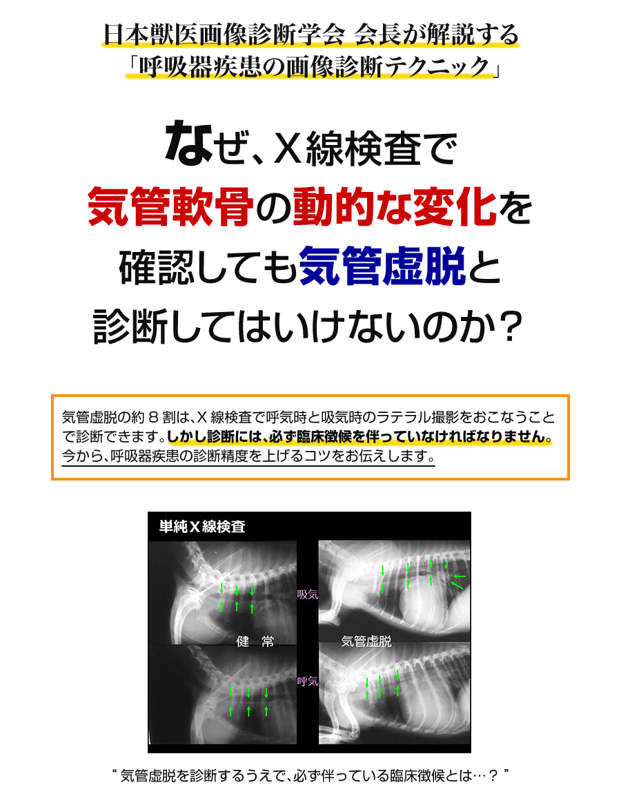 日本獣医画像診断学会 会長が解説する「呼吸器疾患の画像診断テクニック」 なぜ、X線検査で 気管軟骨の動的な変化を 確認しても気管虚脱と 診断してはいけないのか?