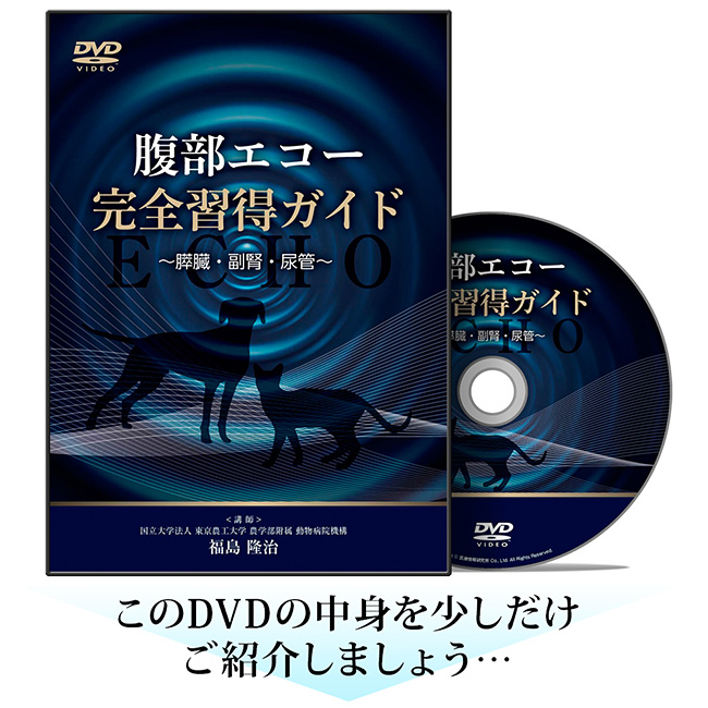 腹部エコー完全習得ガイド～膵臓・副腎・尿管～ | 株式会社 医療情報研究所