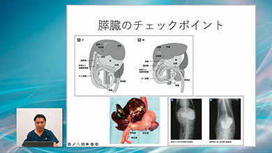 各臓器の解剖と描出方法、チェックポイントを紐付けて学べます