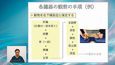 手元の細かい動きも、くり返しチェックできます
