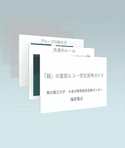講義で使用したレジュメ