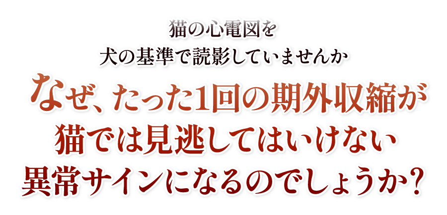 猫の心電図を犬の基準で読影していませんか なぜ、たった1回の期外収縮が猫では見逃してはいけない異常サインになるのでしょうか？