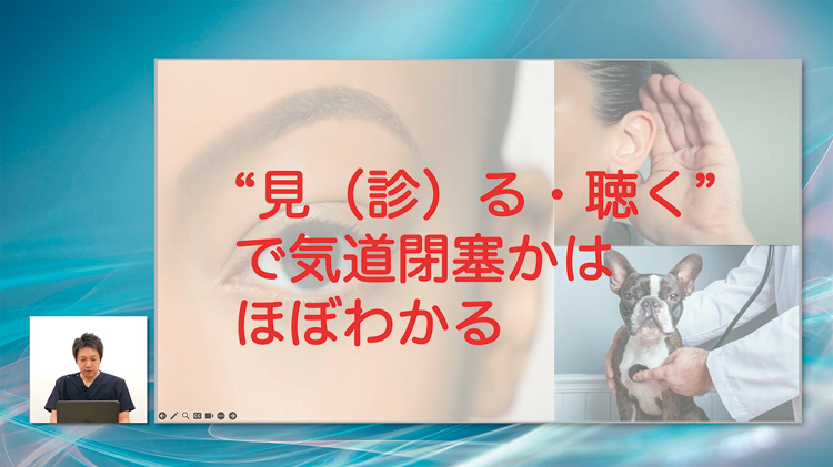 “呼吸器疾患は、五感によりある程度の対応・診断が可能です”