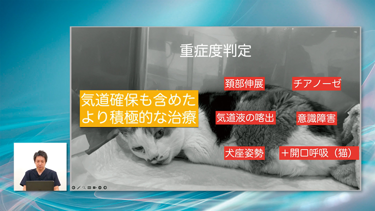 “人手が少なくても、生命を繋ぐためにできることはあります”
