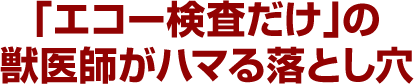 「エコー検査だけ」の獣医師がハマる落とし穴