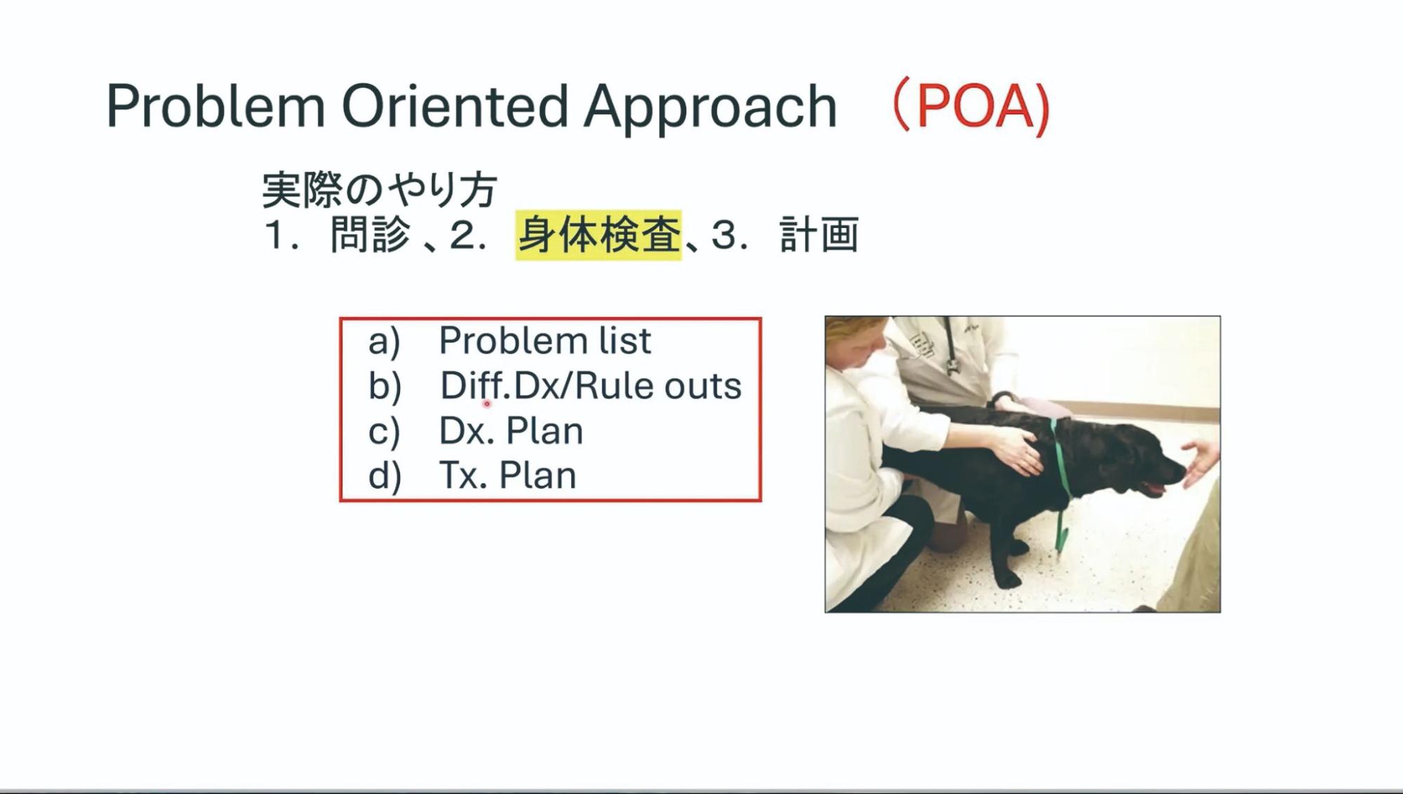 ProblemOrientedApproach