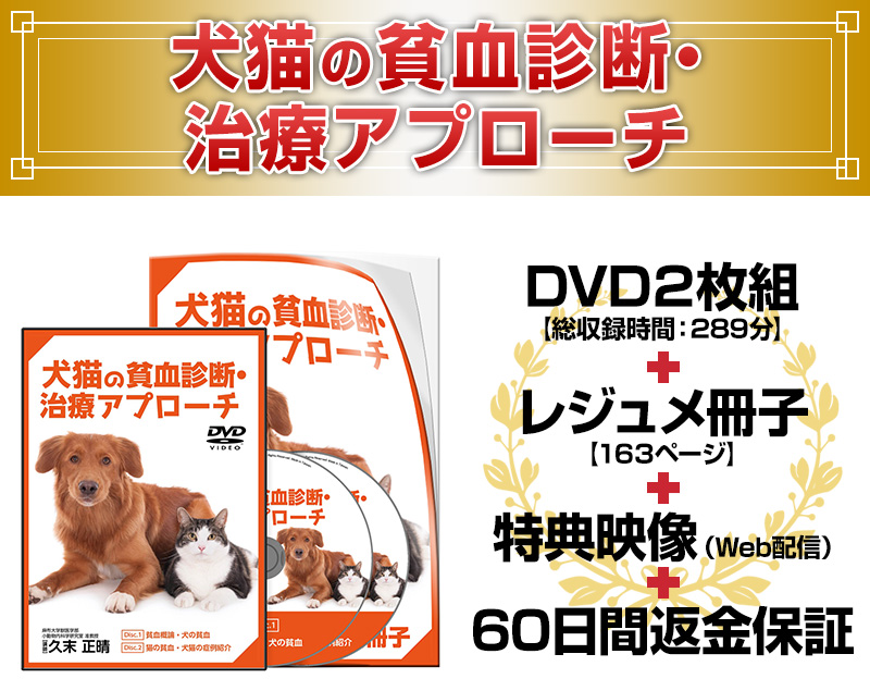 犬猫の貧血診断・治療アプローチ | 株式会社 医療情報研究所