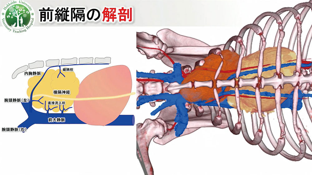 ３DCGなので、回転させて裏側を見ることもできます