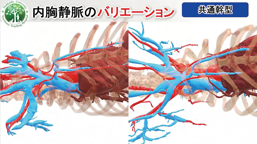 ３DCGなので、回転させて裏側を見ることもできます