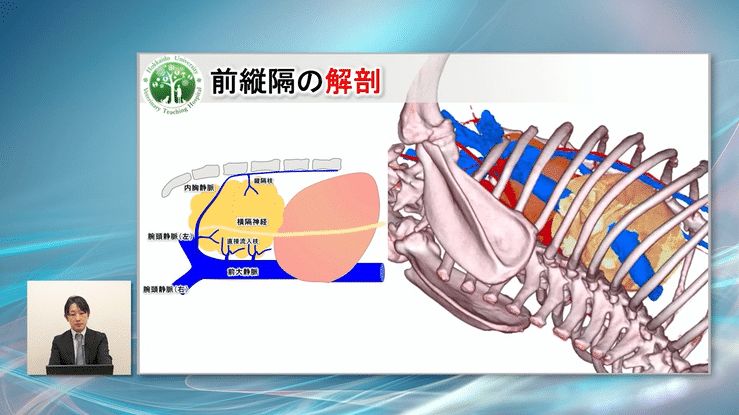３DCGなので、回転させて裏側を見ることもできます