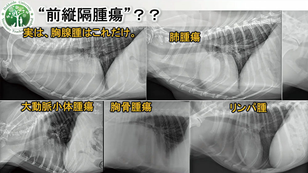 先生は、これらの疾患を正しく鑑別できますか？