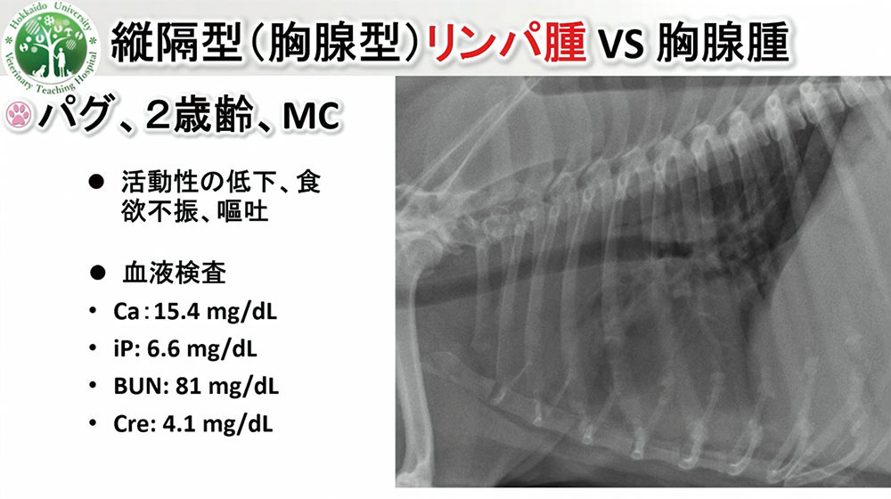 この方法なら、CTのない一次診療でも正確な診断が可能です