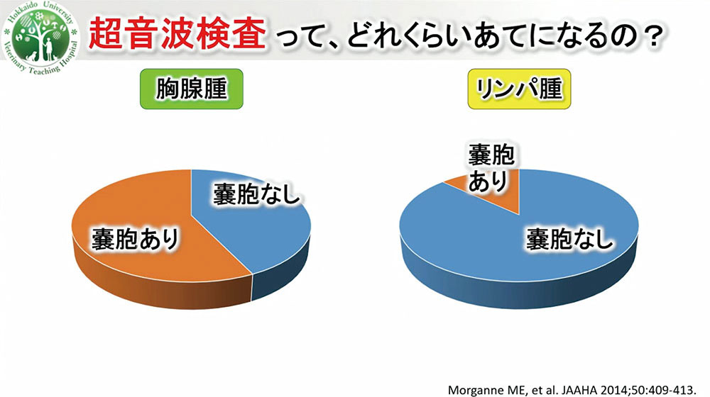 この方法なら、CTのない一次診療でも正確な診断が可能です