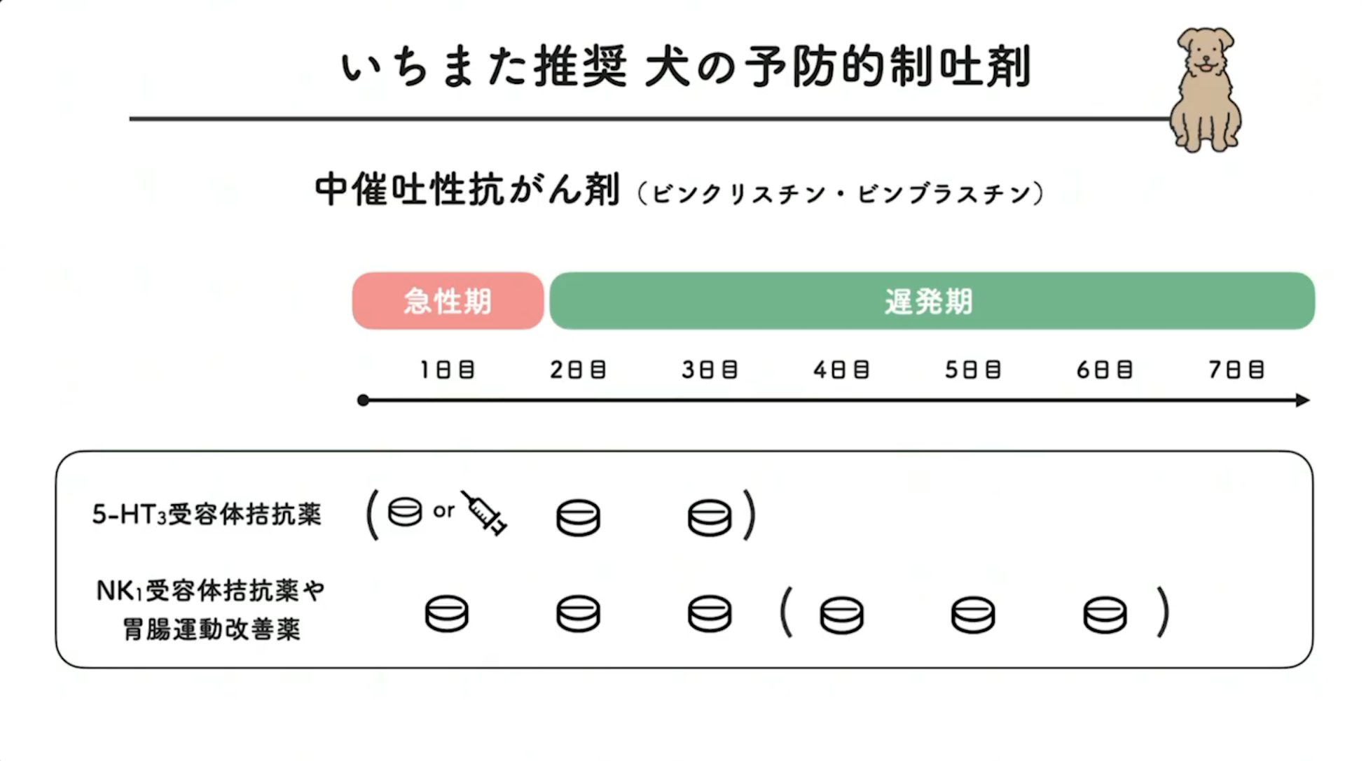 いちまた推奨 犬の予防的制吐剤