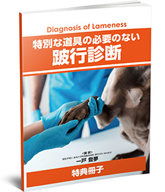 特別な道具の必要のない跛行診断 | 株式会社 医療情報研究所