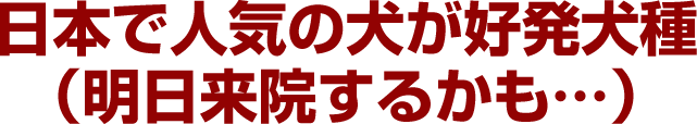 日本で人気の犬が好発犬種（明日来院するかも…）