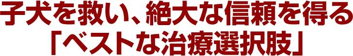 子犬を救い、絶大な信頼を得る「ベストな治療選択肢」