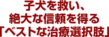 子犬を救い、絶大な信頼を得る「ベストな治療選択肢」