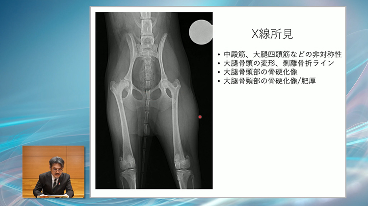“実際の症例をみながら、診断のポイントを学べます”