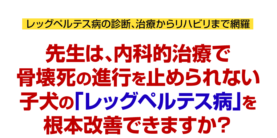 先生は、内科的治療で骨壊死の進行を止められない子犬の「レッグペルテス病」を根本改善できますか？