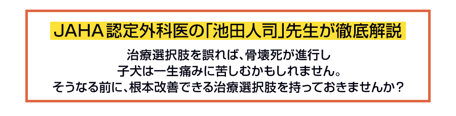 JAHA認定外科医の「池田人司」先生が徹底解説