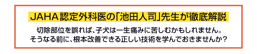 JAHA認定外科医の「池田人司」先生が徹底解説