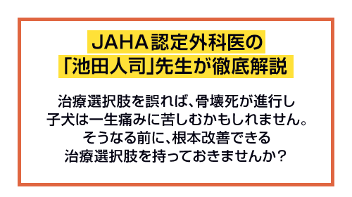 JAHA認定外科医の「池田人司」先生が徹底解説