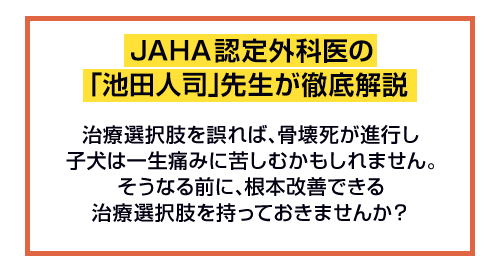 JAHA認定外科医の「池田人司」先生が徹底解説