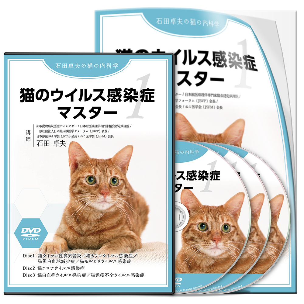 【CP用】石田PJ_猫のウイルス感染症マスターS1│医療情報研究所DVD