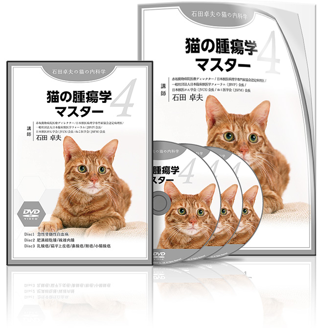 【CP用】石田PJ④_猫の腫瘍学マスターs1│医療情報研究所DVD