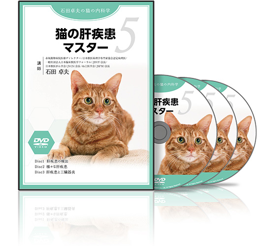 【CP用】石田PJ_猫の肝疾患マスター-S1│医療情報研究所DVD