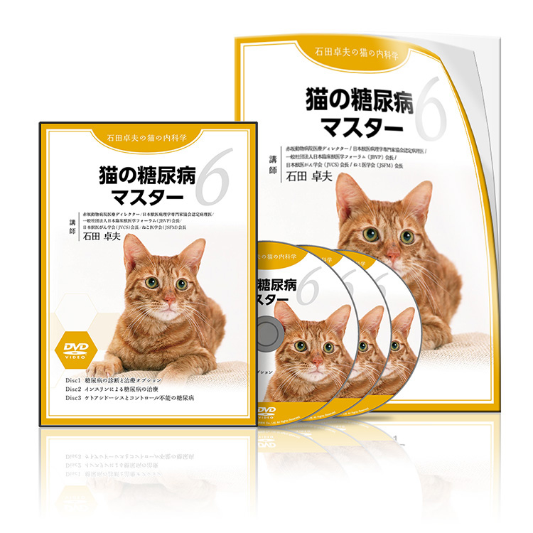 【CP用】石田PJ_猫の糖尿病マスターS1│医療情報研究所DVD