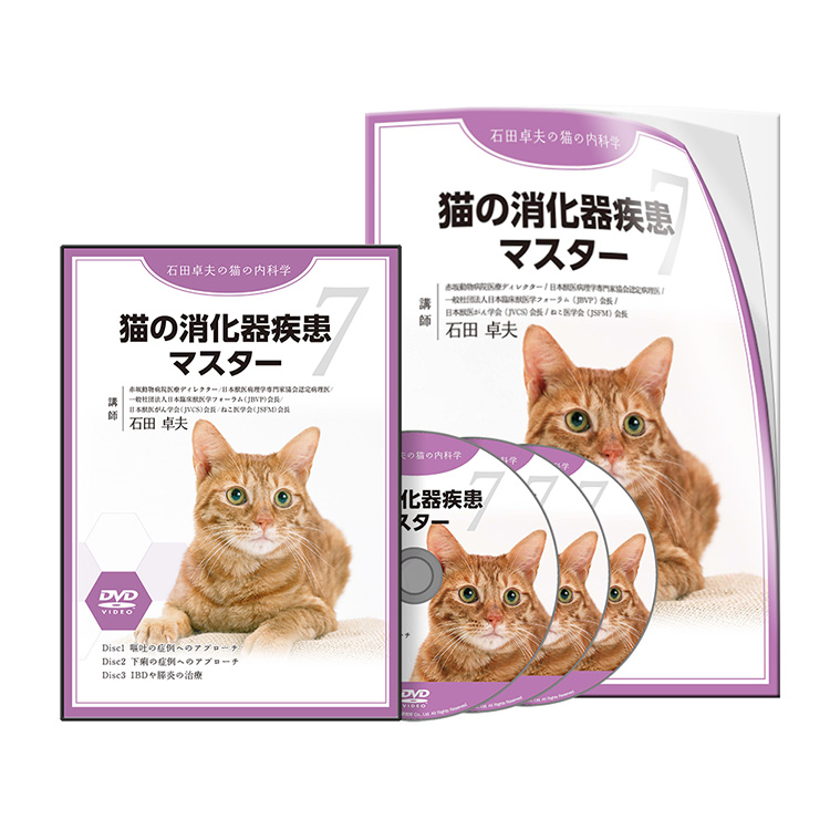 【CP用】石田PJ_猫の消化器疾患マスター-S1│医療情報研究所DVD