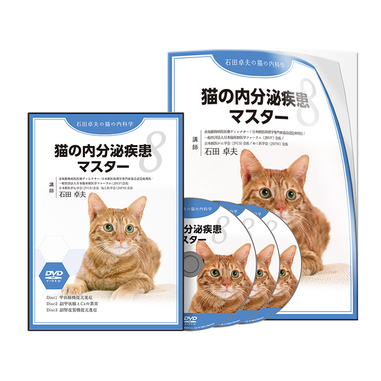 【CP用】石田PJ_猫の内分泌疾患マスター-S1│医療情報研究所DVD