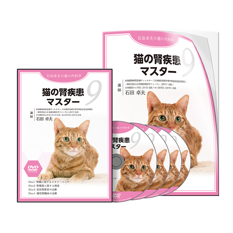 【CP用】石田PJ_猫の腎疾患マスター-S1│医療情報研究所DVD