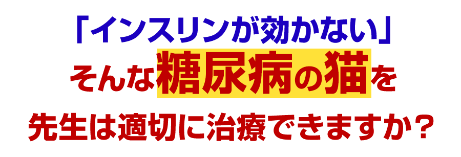 「インスリンが効かない…」そんな糖尿病の猫を先生は適切に治療できますか？
