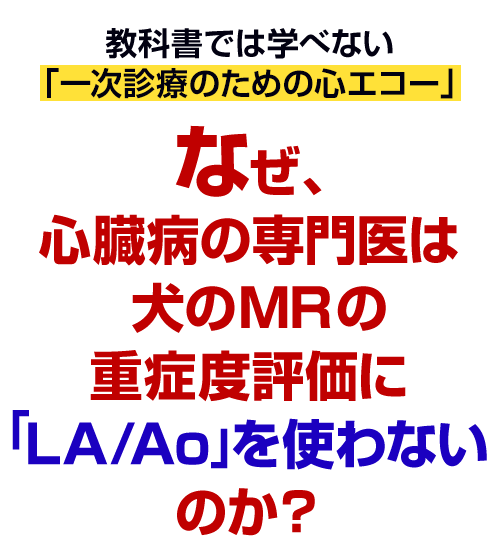 なぜ、誤診・見落としのない心疾患のスクリーニングがたった5分でできるのか？
