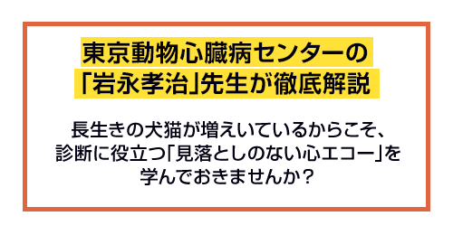 東京動物心臓病センターの「岩永孝治」先生が徹底解説
