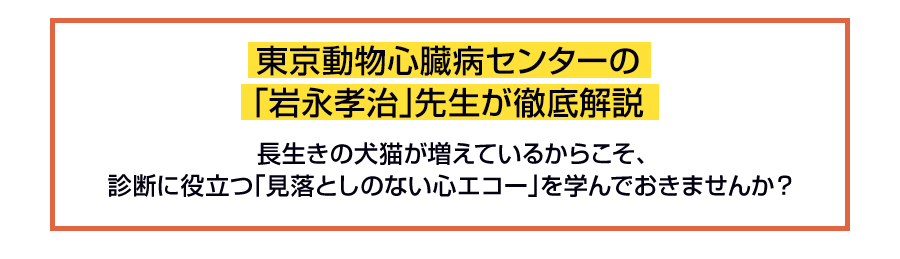 東京動物心臓病センターの「岩永孝治」先生が徹底解説