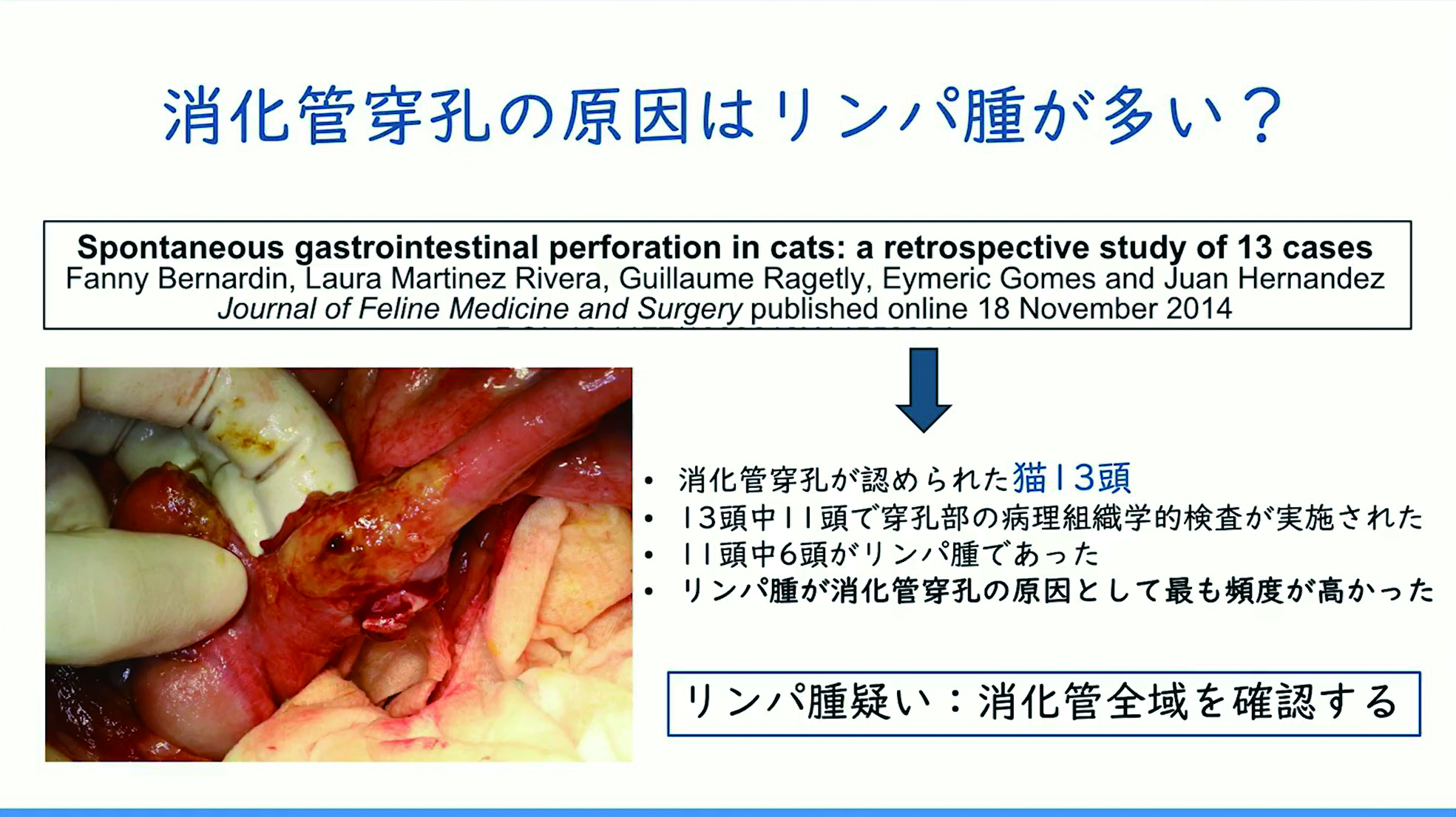 消化管穿孔の原因はリンパ腫が多い？