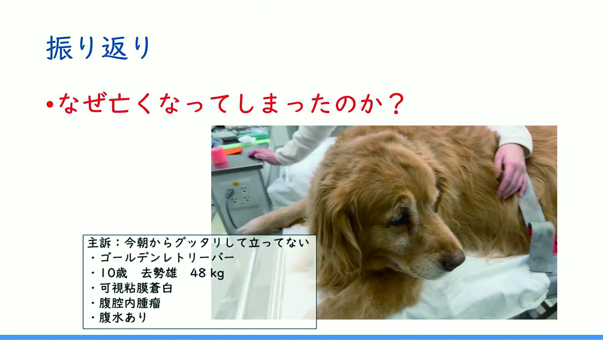 振り返りなぜ亡くなってしまったのか？
