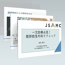 「教材本編」のレジュメ資料はプレゼントします
